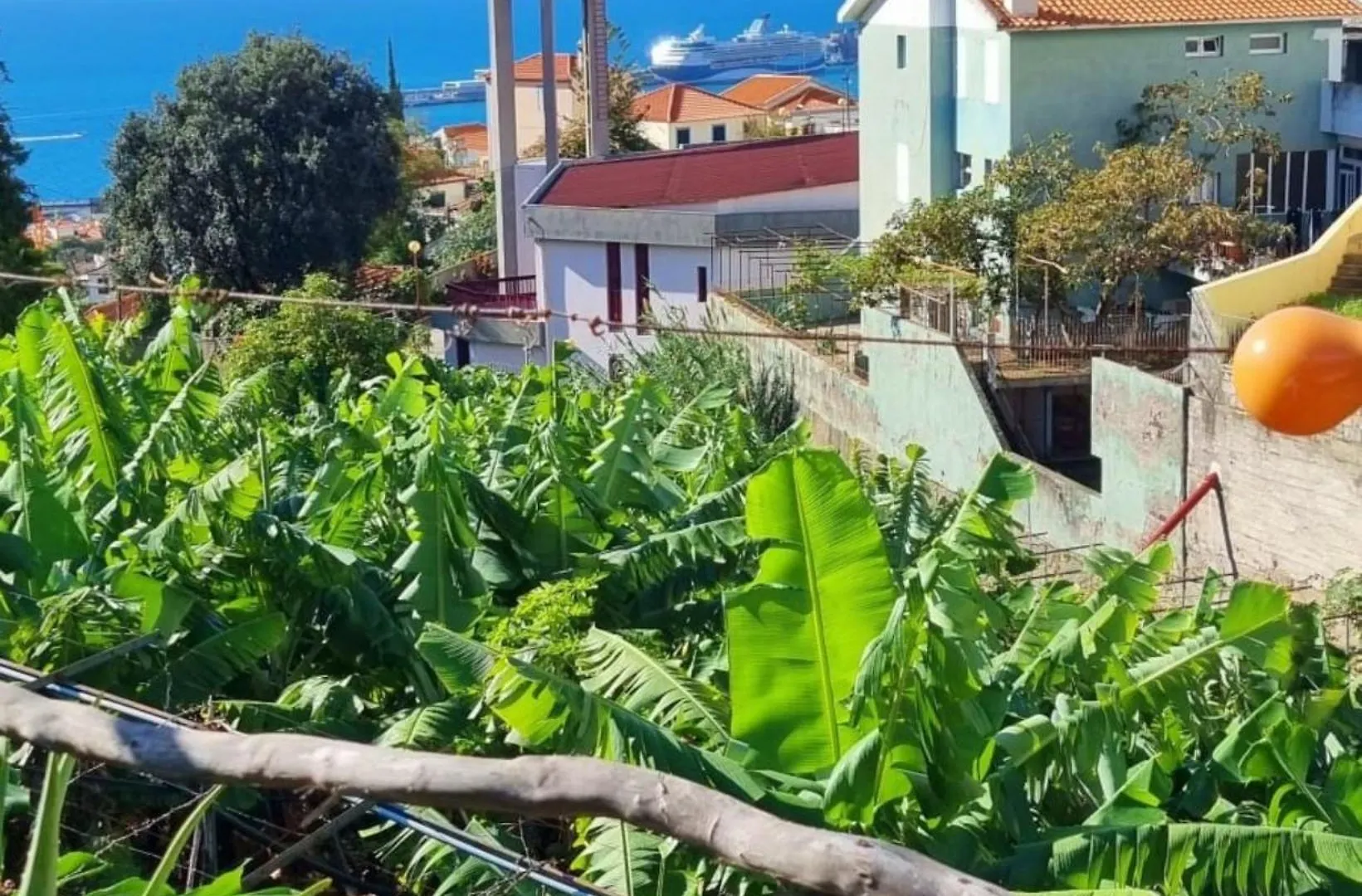Holiday home Villa Catanho Funchal